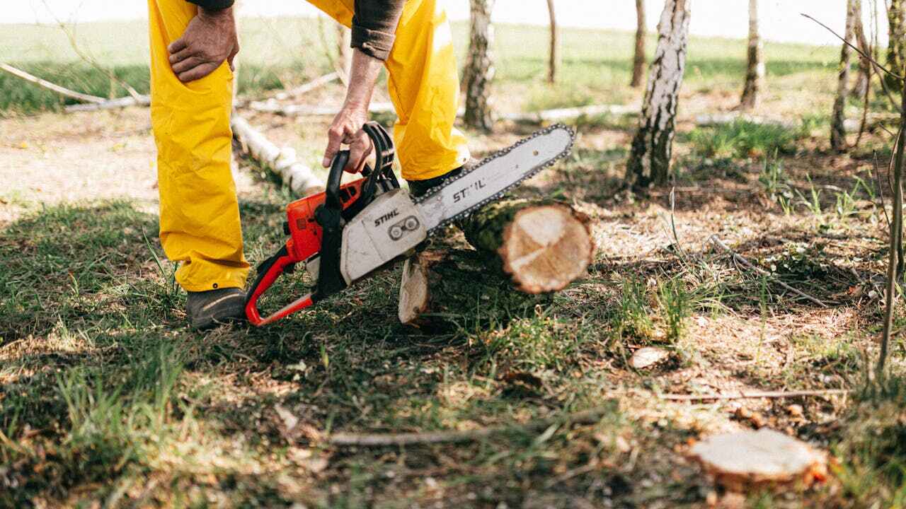  Maurice, LA TreeGuard Tree Service Pros